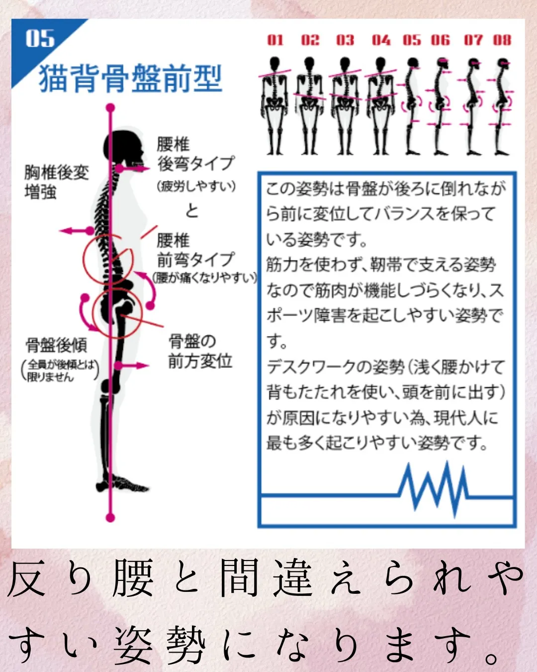 今回は矢状面（横から）の分析になります。