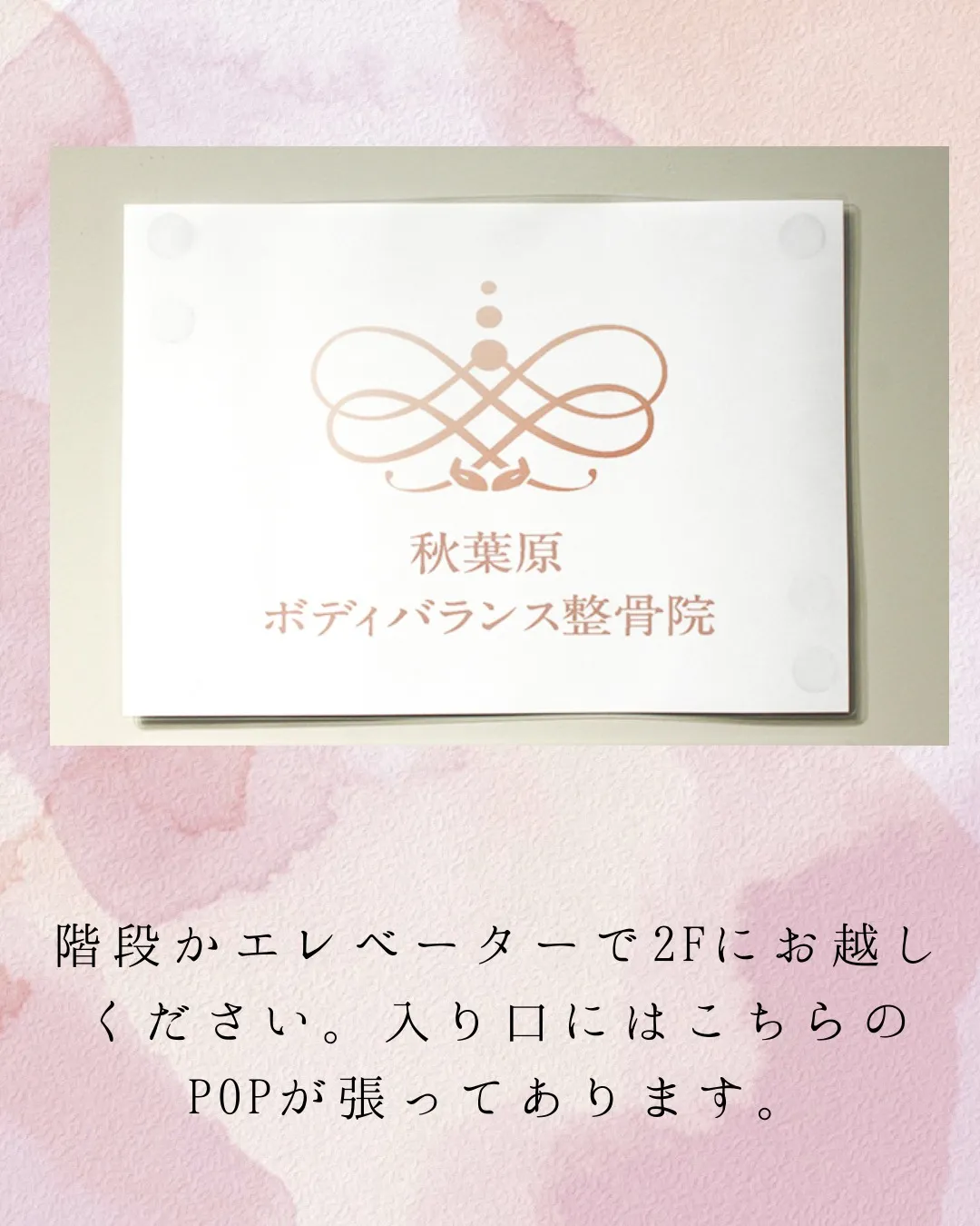 今日は院の紹介。